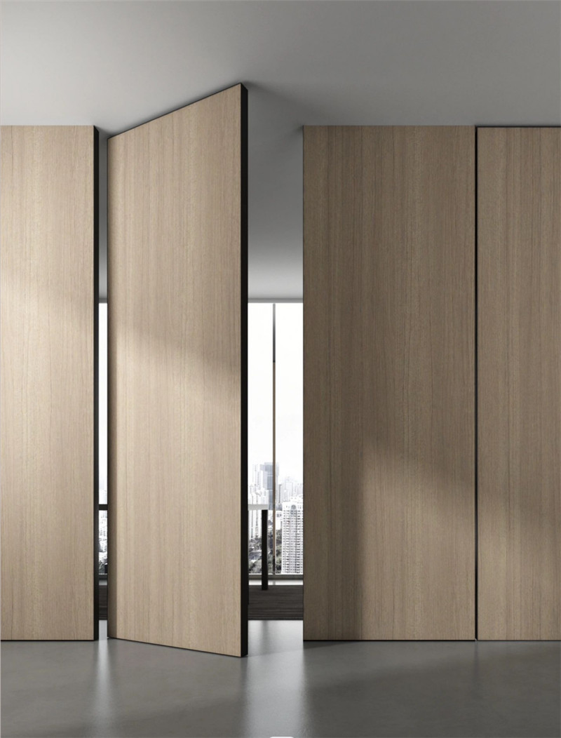 Exploring the World of Pivot Doors A Modern Design Trend-02 (5)