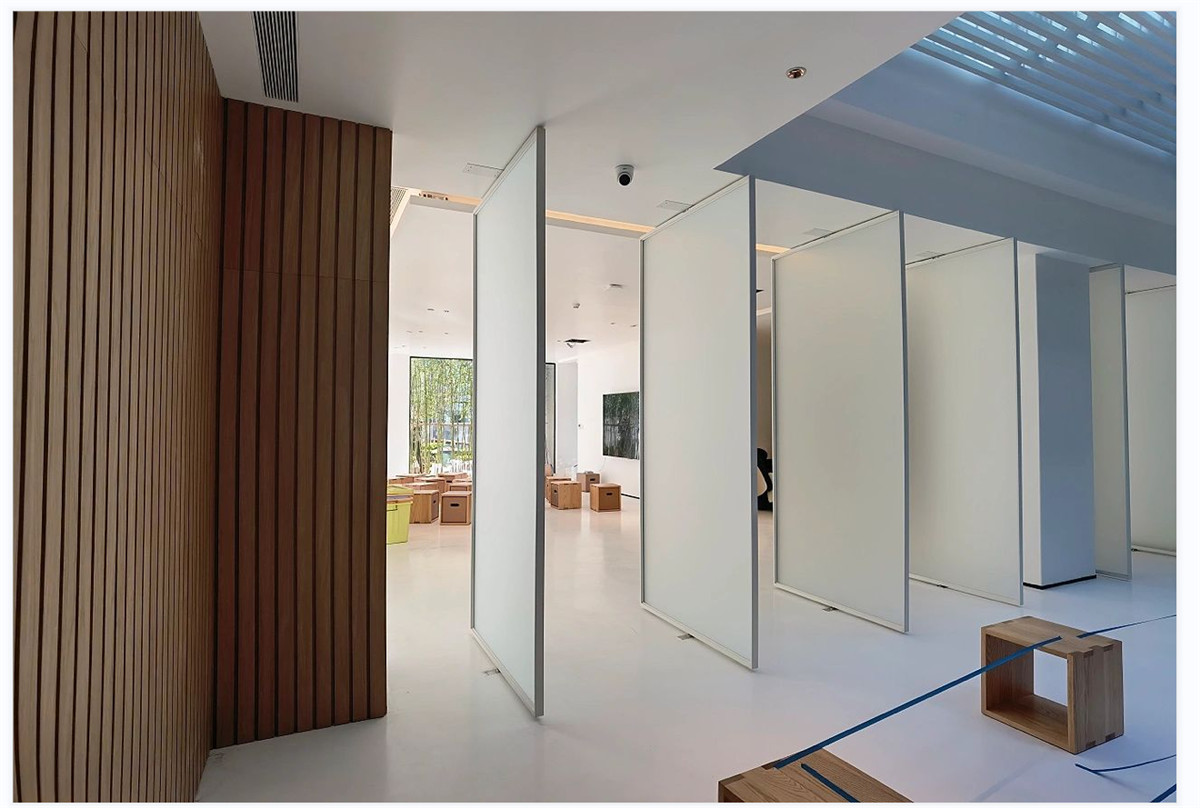 Kuongorora Nyika yePivot Doors A Modern Design Trend-02 (6)