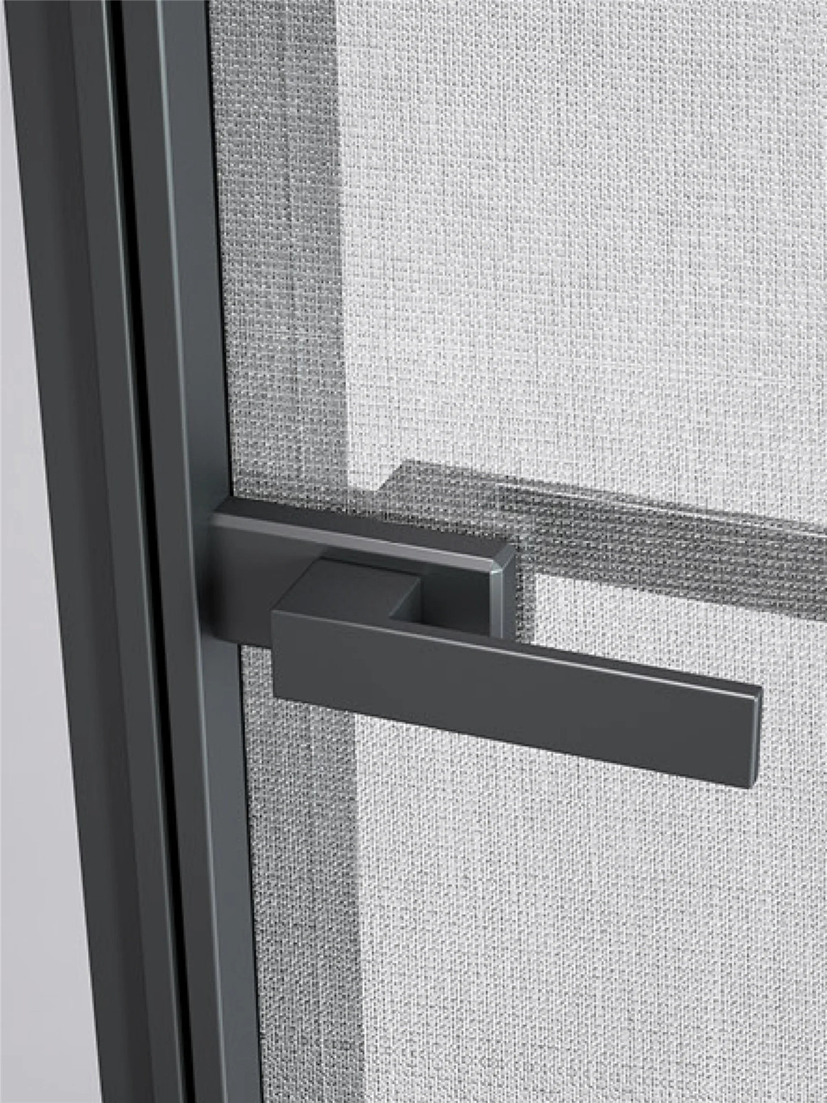 Ներկայացնում ենք ժամանակակից ճոճվող դռները-02 (4)
