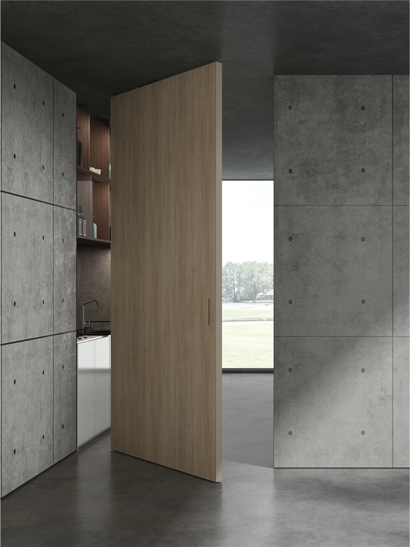 Launching Our Latest Product The Pivot Door-01 (5)